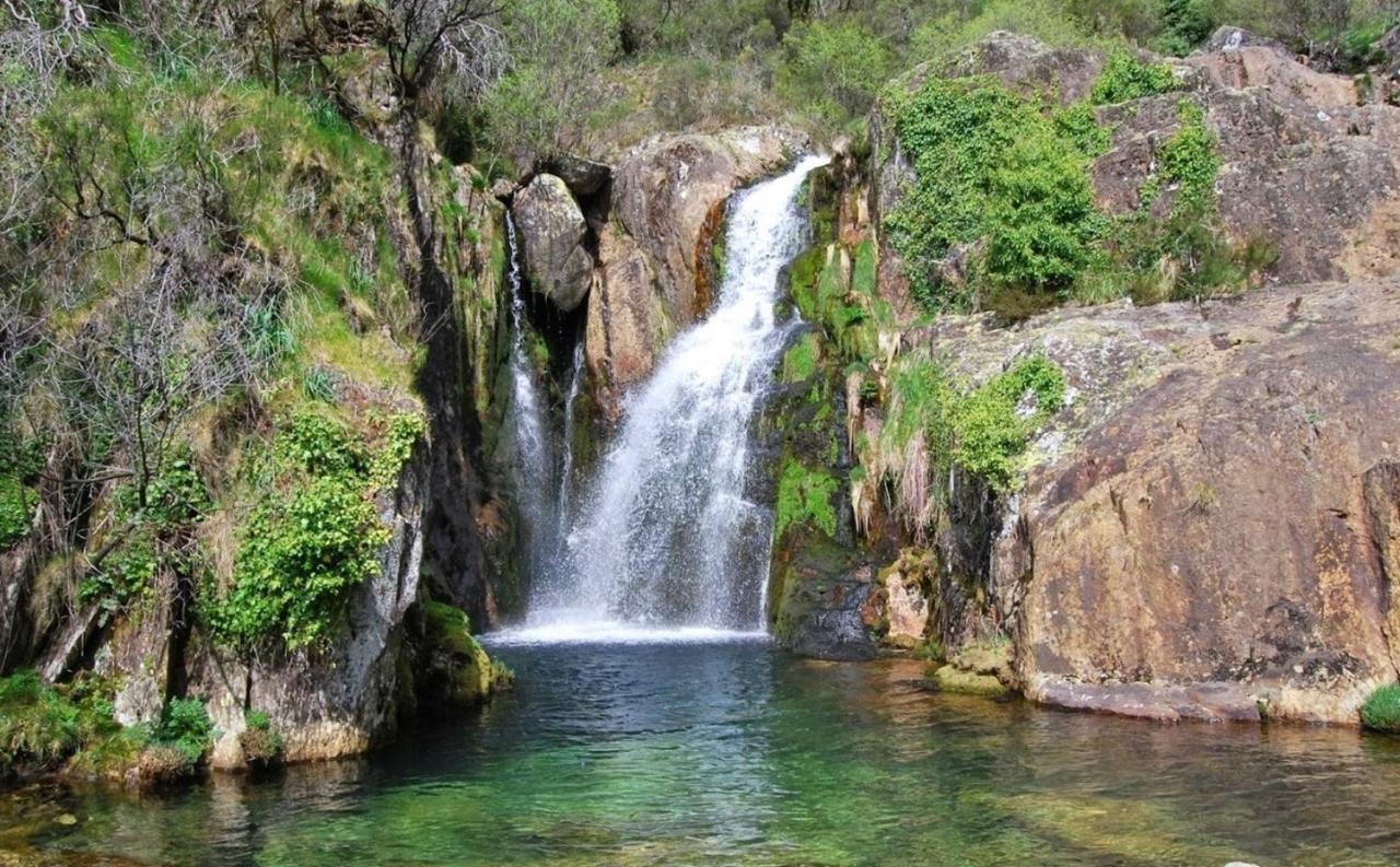Arouca Passadicos Alojamento & Jacuzzi 外观 照片